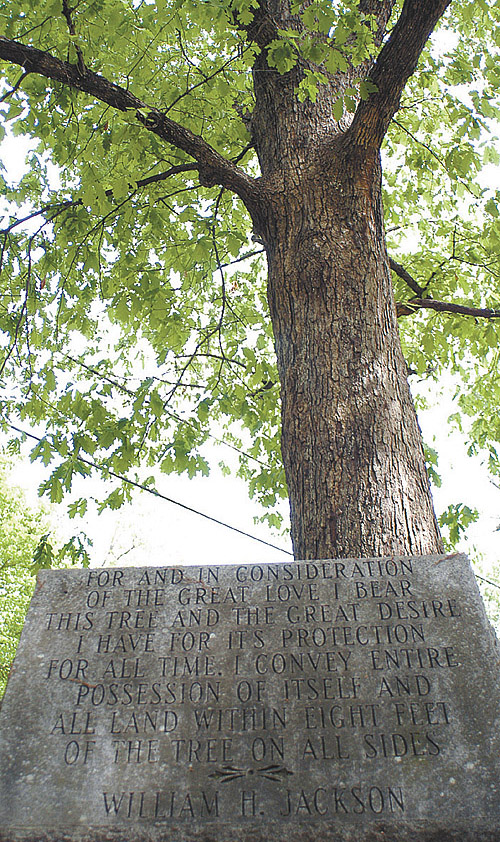 Tree that Owns Itself